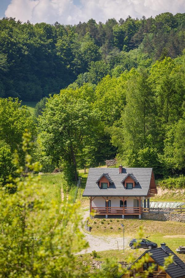 Pod Laskiem Holiday home *