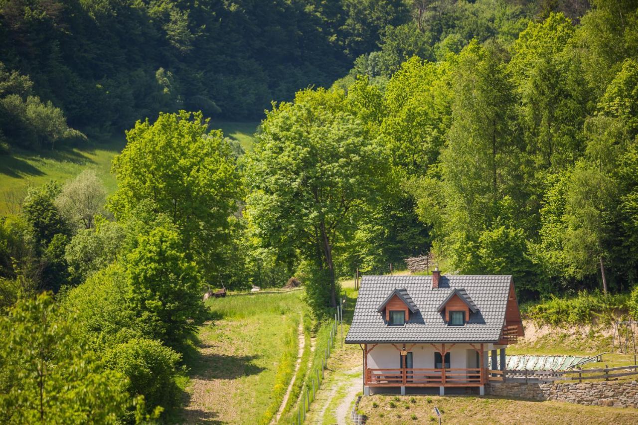 Pod Laskiem Holiday home *